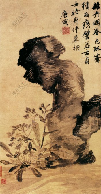 立石丛卉图花鸟画中国古画0207