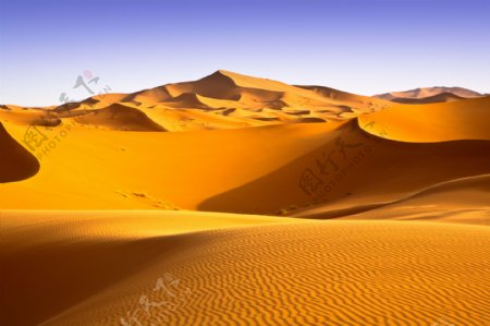 金色沙漠风景图片