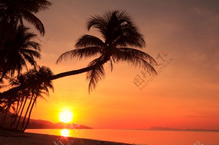 夕阳黄昏海滩风景
