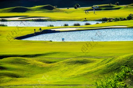 高尔夫球场草地水池