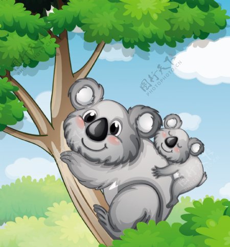 Koala家族的插图