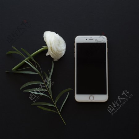 花朵和手机