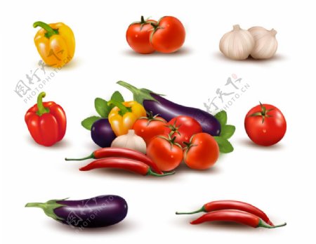 新鲜蔬菜设计矢量图
