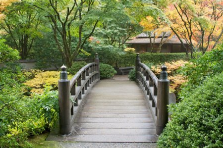 日本公园拱桥风景图片