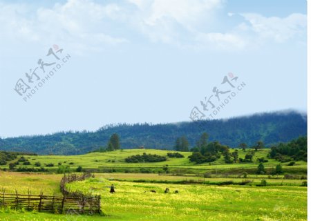 美丽的蓝天草原风景图片