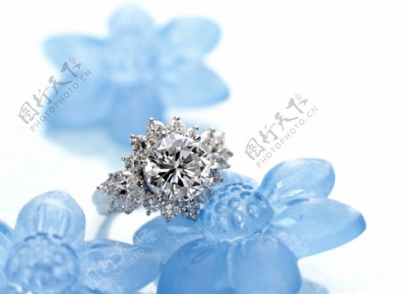 蓝色花上的钻石戒指图片