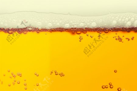 啤酒气泡和泡沫图片