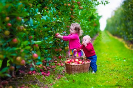 果园里吃苹果的儿童图片