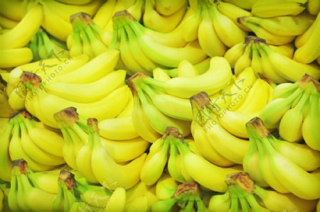 一串一串的香蕉摄影
