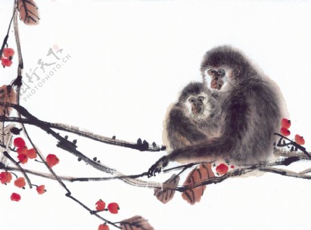 猴子十二生肖中国画0049