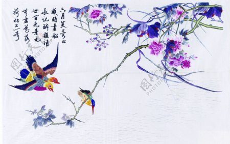 古代插图鸟语花香058