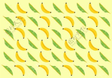 香蕉设计图