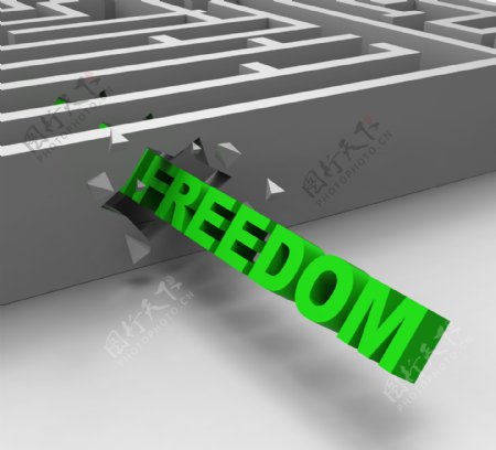 自由从迷宫显示自由