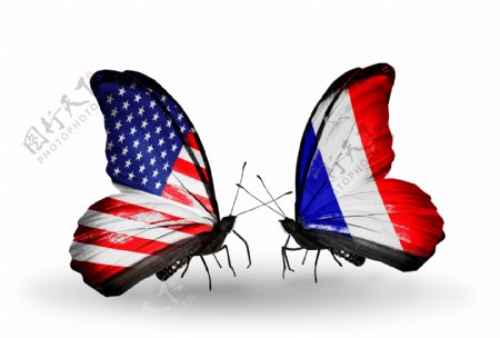 美国蝴蝶国旗与荷兰蝴蝶国旗