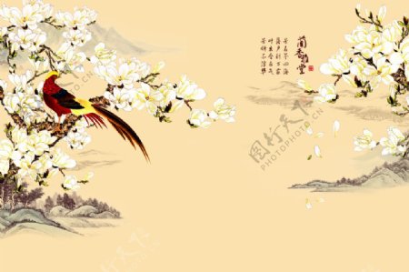 中国风格鸟类花卉装饰