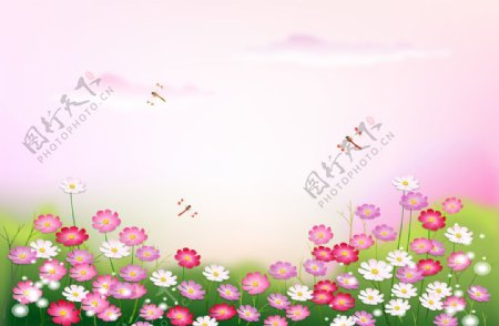 花卉草坪装饰画