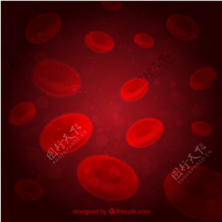现实的红血细胞背景