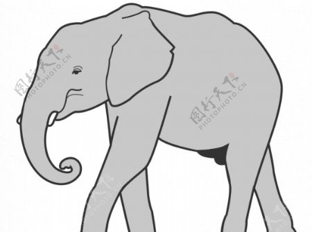 大象向量