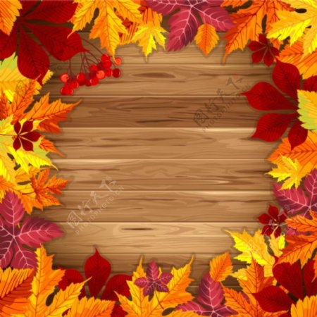 秋季元素与金叶背景矢量素材