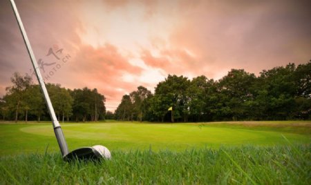 草地上的高尔夫球杆图片