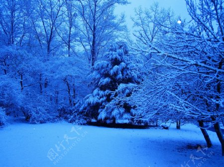 蓝色调的雪地