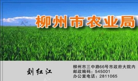 名片模板农林化工平面设计1544