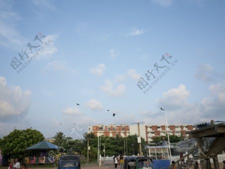 斯里兰卡风光图片