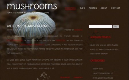 旷野蘑菇主题网页模板