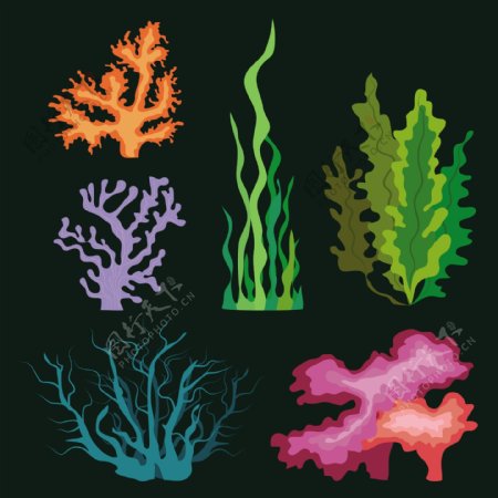 海底海藻植物矢量图