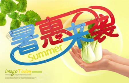 暑惠来袭蔬菜海报