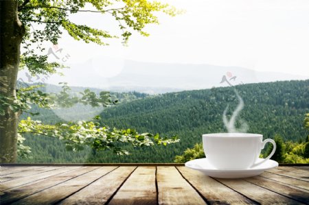 咖啡与树林风景图片
