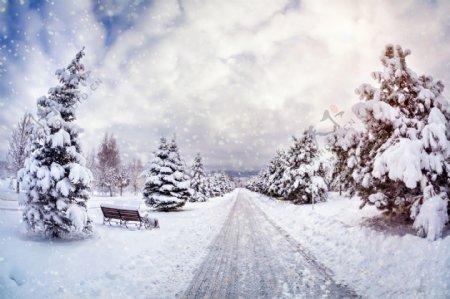 美丽马路雪景图片