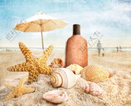 沙滩上的海星与海螺图片