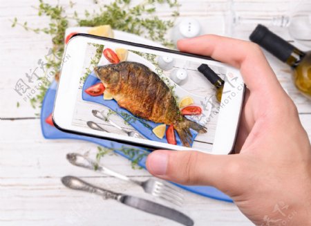 手机烤鱼图片