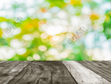 梦幻树林与木板背景图片