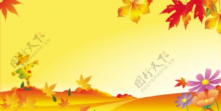 黄色秋天枫叶素材