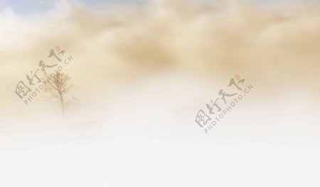 唯美朦胧雾气风景图片