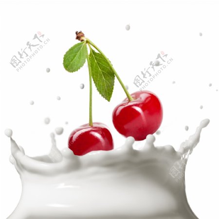 牛奶樱桃图片