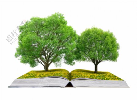 书本上的树木创意高清图片