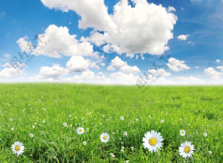 蓝天白云与草原