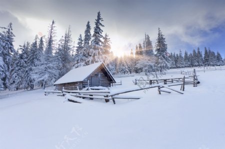 树林雪景与小木屋