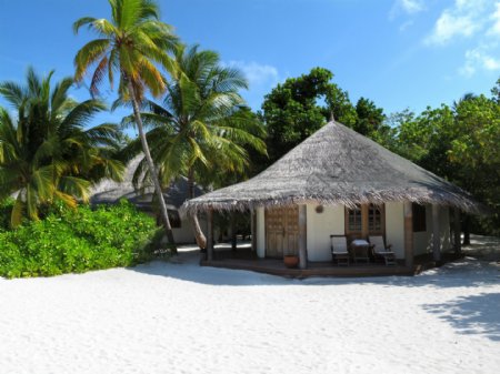 沙滩上的椰树茅屋