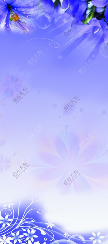 紫色花底图