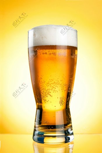 黄色背景前的一玻璃杯啤酒