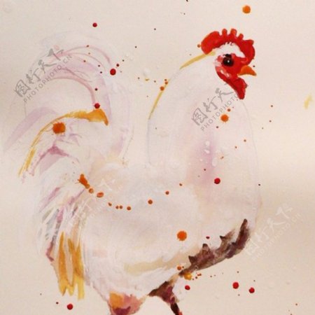 位图动物公鸡水彩色彩免费素材