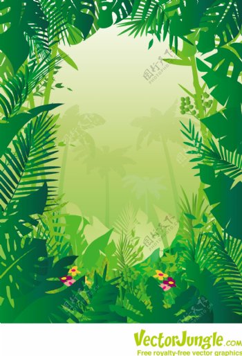 热带框架式丛林背景