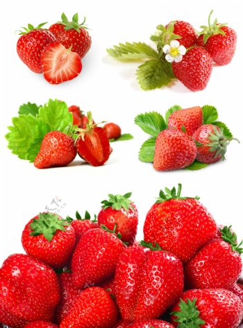 5组成堆的草莓高清图片下载