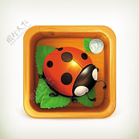 3D可爱木盒里的瓢虫