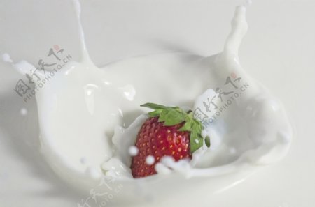 牛奶里的草莓图片