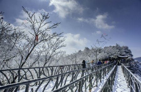 唯美公园雪景图片
